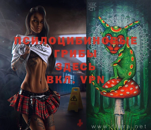 apvp Бородино