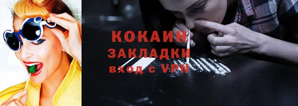 крисы Бронницы