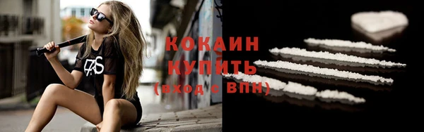 apvp Бородино