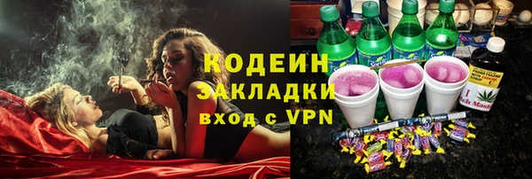 apvp Бородино
