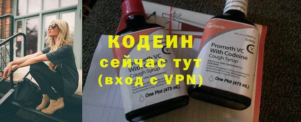 крисы Бронницы
