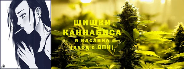 крисы Бронницы