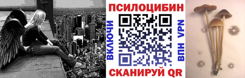 Псилоцибиновые грибы ЛСД  блэк спрут как войти  Вельск 